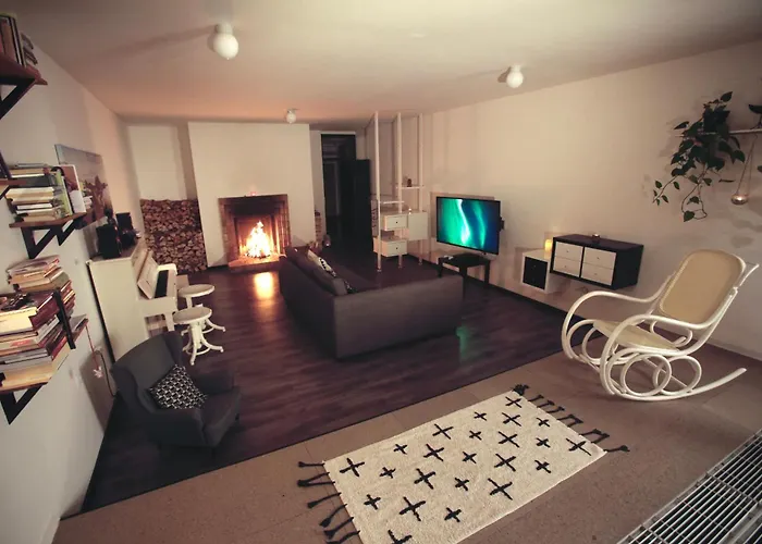 Large 120M Apartment With Garden And Cat Near Zoo