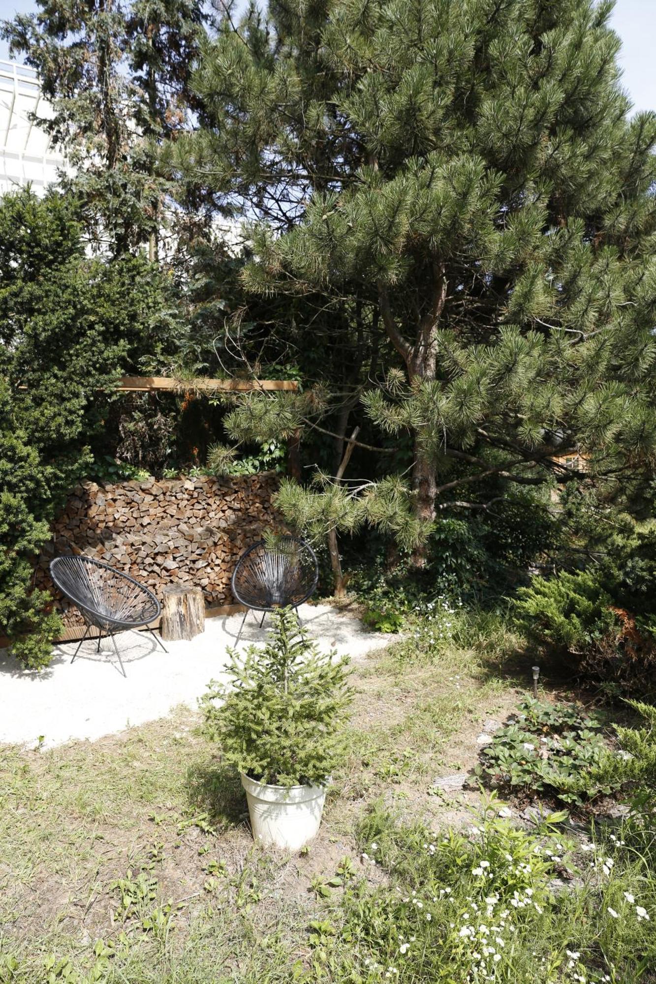 Appartamento Large 120m With Garden And Cat Near Zoo Praga