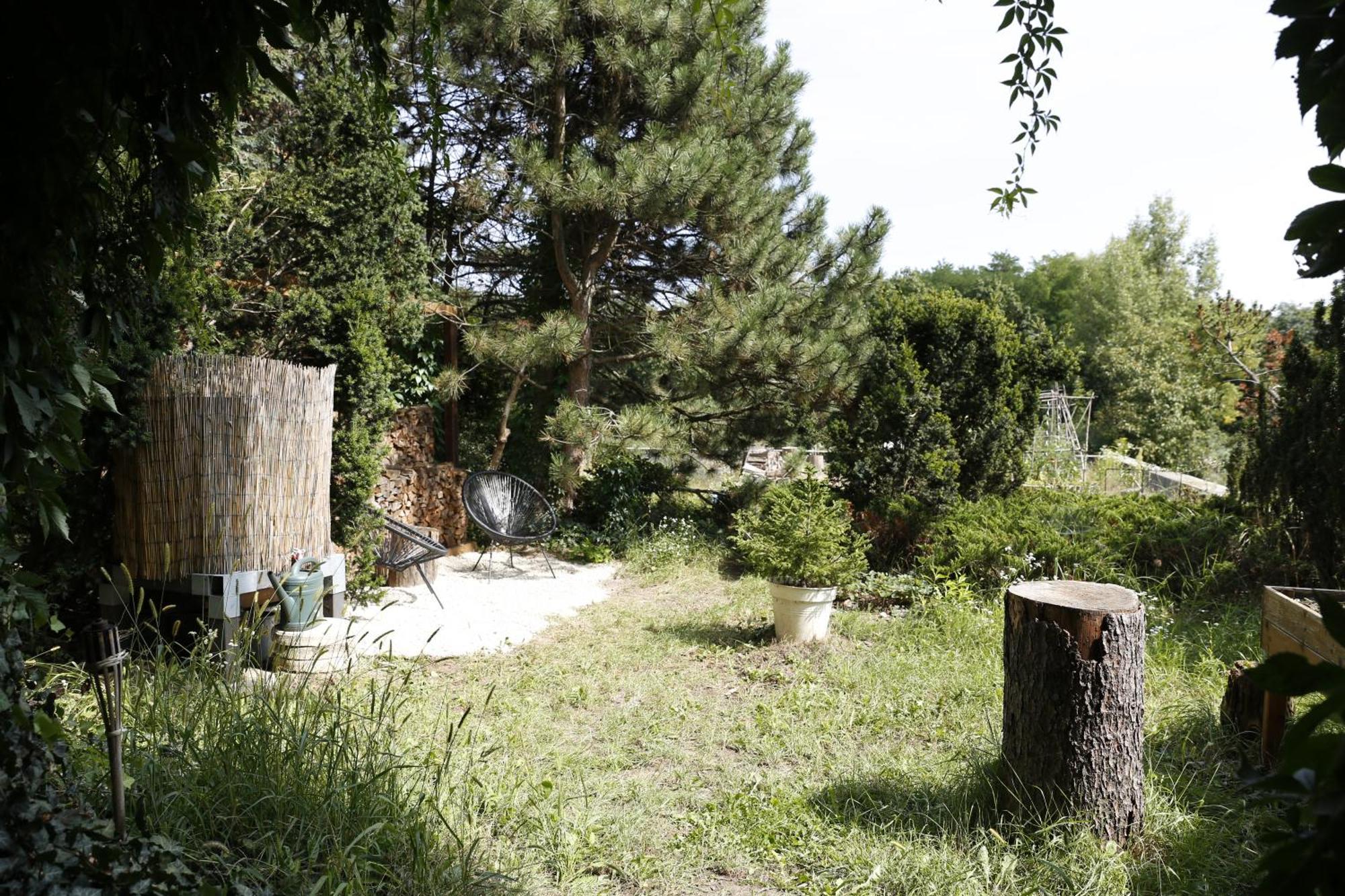 Appartamento Large 120m With Garden And Cat Near Zoo *
